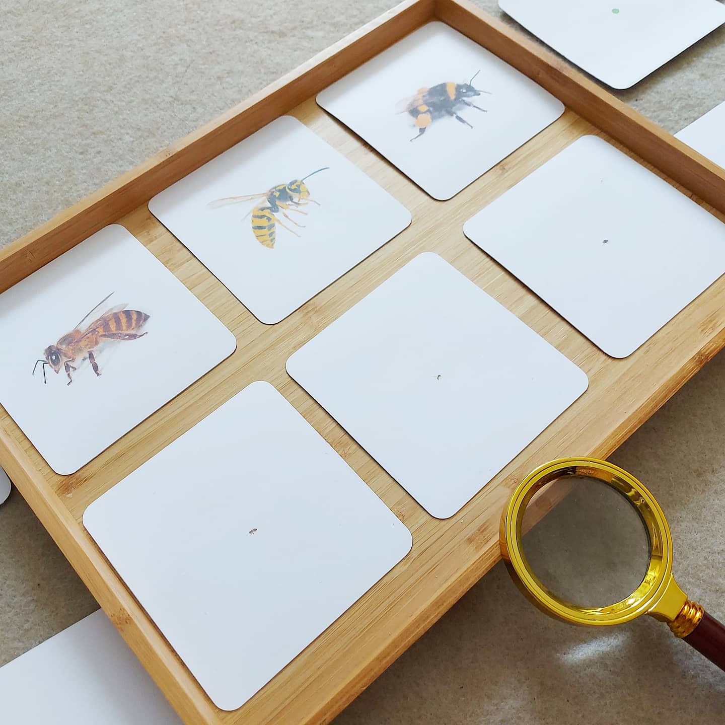 Activité insectes, matériel montessori, jeux jouets, tresor de maman, loupe 2