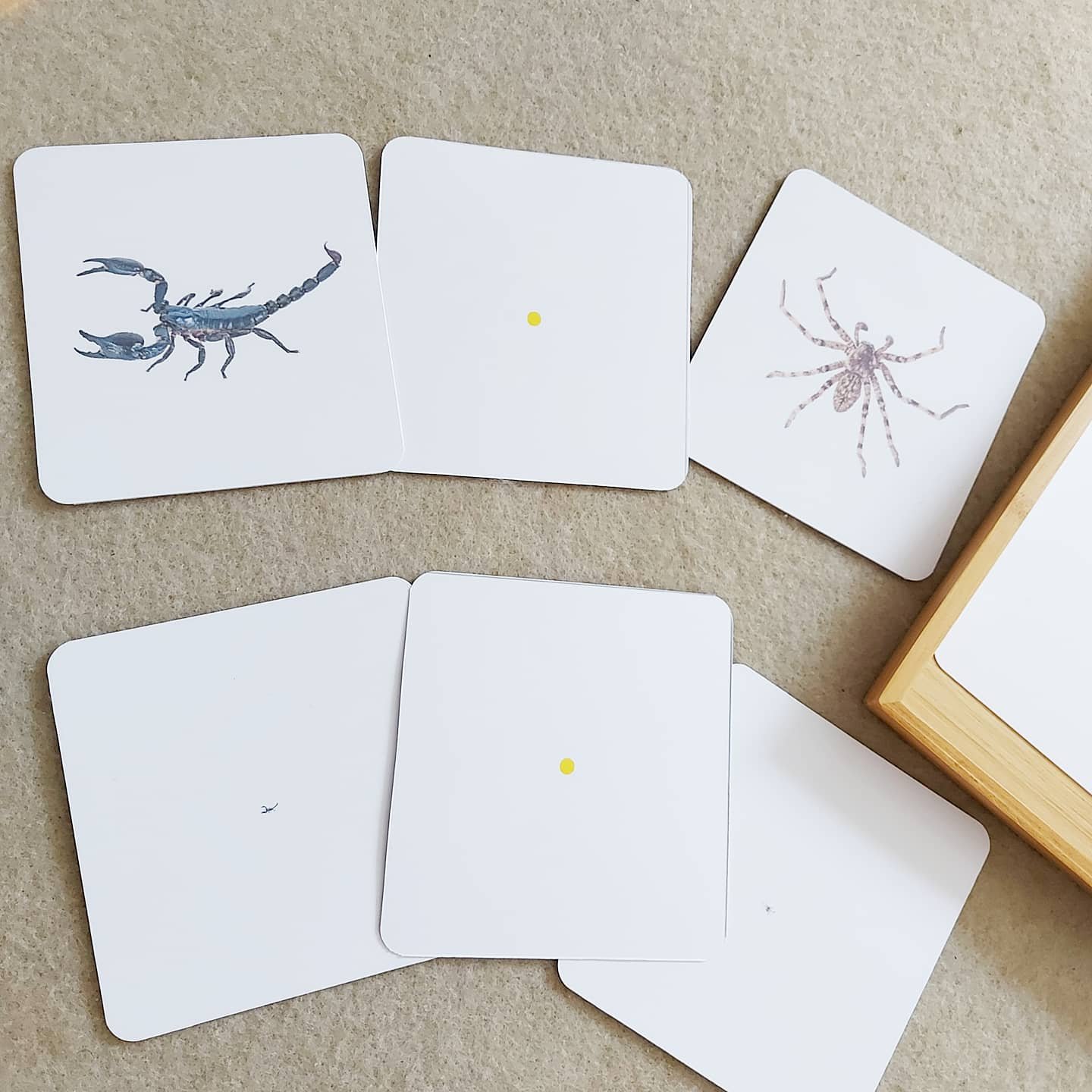 Activité insectes, matériel montessori, jeux jouets, tresor de maman, petit/grand