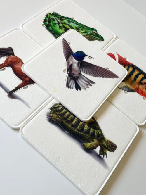 Pack Puzzle montessori, Trésor de Maman Pack Puzzle montessori, Trésor de Maman