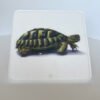 Puzzle montessori tortue, Trésor de Maman