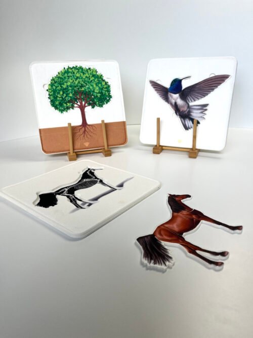 Puzzle botanique + zoologie, Trésor de Maman Puzzle Montessori