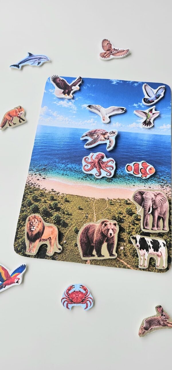 Jouet Montessori Terre mer air 3 Jeu de tri des animaux & véhicules | Terre, Mer & Air