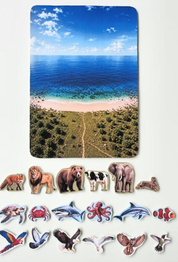 Jouet Montessori Terre mer air Jeu de tri éducatif montessori, animaux et véhicules